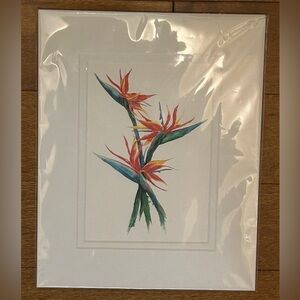 Bird of Paradise Watercolor Art Print